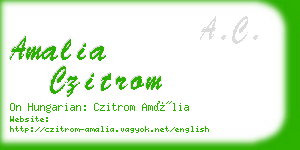 amalia czitrom business card